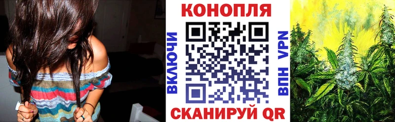 Бошки марихуана ГИДРОПОН  Семёнов 